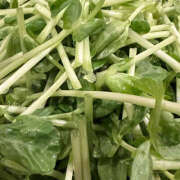 ヒメ日記 2025/04/03 08:45 投稿 にこら ハピネス＆ドリーム 松山道後温泉