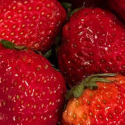 ヒメ日記 2025/04/04 08:58 投稿 にこら ハピネス＆ドリーム 松山道後温泉