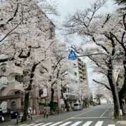 ヒメ日記 2025/04/01 13:15 投稿 やよい 奥鉄オクテツ東京店（デリヘル市場）