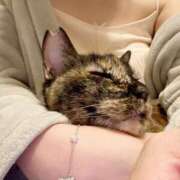 やよい やっと回復ー！普通に歩けるようになったよ！ 奥鉄オクテツ東京店（デリヘル市場）