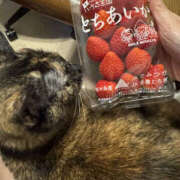 ヒメ日記 2026/02/11 22:10 投稿 やよい 奥鉄オクテツ東京店（デリヘル市場）