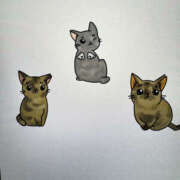 ヒメ日記 2026/03/28 23:00 投稿 やよい 奥鉄オクテツ東京店（デリヘル市場）