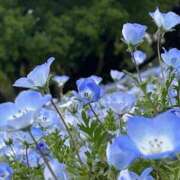 ヒメ日記 2025/03/07 10:28 投稿 ☆あおい☆完全業界未経験 ◆プラウディア◆AAA級素人娘在籍店