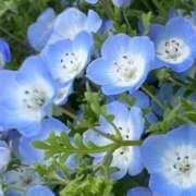 ヒメ日記 2025/04/12 22:18 投稿 ☆あおい☆完全業界未経験 ◆プラウディア◆AAA級素人娘在籍店