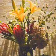 ヒメ日記 2025/09/24 08:38 投稿 ☆あおい☆完全業界未経験 ◆プラウディア◆AAA級素人娘在籍店