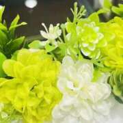 ヒメ日記 2025/10/03 08:38 投稿 ☆あおい☆完全業界未経験 ◆プラウディア◆AAA級素人娘在籍店