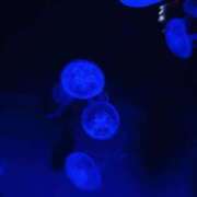 ヒメ日記 2025/10/15 13:28 投稿 ☆あおい☆完全業界未経験 ◆プラウディア◆AAA級素人娘在籍店