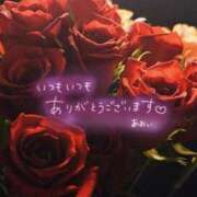 ヒメ日記 2025/11/14 03:18 投稿 ☆あおい☆完全業界未経験 ◆プラウディア◆AAA級素人娘在籍店