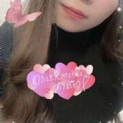 ヒメ日記 2025/11/24 03:38 投稿 ☆あおい☆完全業界未経験 ◆プラウディア◆AAA級素人娘在籍店