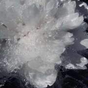 ヒメ日記 2025/11/27 15:28 投稿 ☆あおい☆完全業界未経験 ◆プラウディア◆AAA級素人娘在籍店