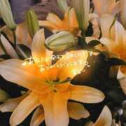 ヒメ日記 2025/12/02 03:48 投稿 ☆あおい☆完全業界未経験 ◆プラウディア◆AAA級素人娘在籍店