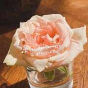 ヒメ日記 2025/12/02 04:03 投稿 ☆あおい☆完全業界未経験 ◆プラウディア◆AAA級素人娘在籍店