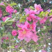 ヒメ日記 2026/01/04 16:58 投稿 ☆あおい☆完全業界未経験 ◆プラウディア◆AAA級素人娘在籍店