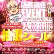 ヒメ日記 2026/02/06 10:28 投稿 ☆あおい☆完全業界未経験 ◆プラウディア◆AAA級素人娘在籍店
