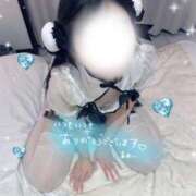 ヒメ日記 2026/02/06 11:16 投稿 ☆あおい☆完全業界未経験 ◆プラウディア◆AAA級素人娘在籍店