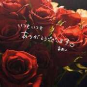 ヒメ日記 2026/03/12 11:58 投稿 ☆あおい☆完全業界未経験 ◆プラウディア◆AAA級素人娘在籍店