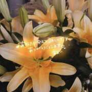 ヒメ日記 2026/03/13 22:41 投稿 ☆あおい☆完全業界未経験 ◆プラウディア◆AAA級素人娘在籍店