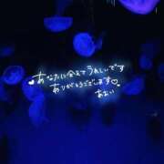 ヒメ日記 2026/03/13 23:03 投稿 ☆あおい☆完全業界未経験 ◆プラウディア◆AAA級素人娘在籍店