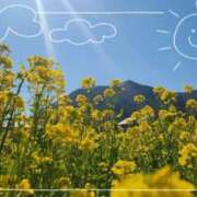 ヒメ日記 2025/03/05 17:26 投稿 桜田 昼顔妻 五反田店