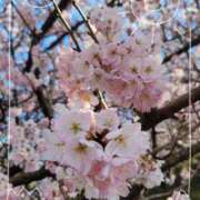 ヒメ日記 2025/03/27 17:56 投稿 桜田 昼顔妻 五反田店