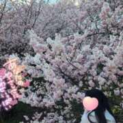 ヒメ日記 2025/03/28 17:57 投稿 桜田 昼顔妻 五反田店