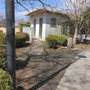 ヒメ日記 2025/03/20 12:01 投稿 あげは TSUBAKI（水戸）