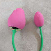 ヒメ日記 2025/03/21 10:30 投稿 あげは TSUBAKI（水戸）