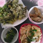 ヒメ日記 2025/04/25 11:50 投稿 あげは TSUBAKI（水戸）