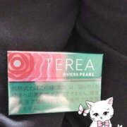 ヒメ日記 2025/04/26 12:40 投稿 あげは TSUBAKI（水戸）