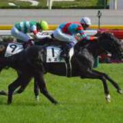 ヒメ日記 2025/05/12 13:43 投稿 あげは TSUBAKI（水戸）