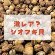 ヒメ日記 2025/06/02 12:57 投稿 あげは TSUBAKI（水戸）