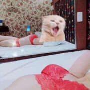 ヒメ日記 2025/06/06 17:00 投稿 あげは TSUBAKI（水戸）