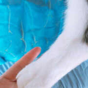 ヒメ日記 2025/06/20 17:00 投稿 あげは TSUBAKI（水戸）