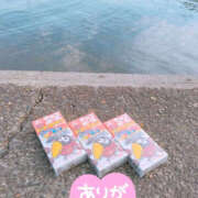 ヒメ日記 2025/07/22 14:42 投稿 あげは TSUBAKI（水戸）