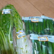 ヒメ日記 2025/09/19 21:58 投稿 あげは TSUBAKI（水戸）