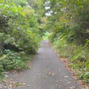 ヒメ日記 2025/10/09 16:39 投稿 あげは TSUBAKI（水戸）