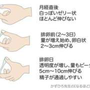 ヒメ日記 2025/11/05 08:30 投稿 あげは TSUBAKI（水戸）