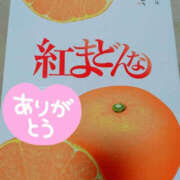 ヒメ日記 2025/11/24 08:21 投稿 あげは TSUBAKI（水戸）