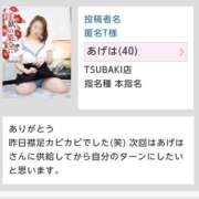 ヒメ日記 2026/01/12 08:27 投稿 あげは TSUBAKI（水戸）