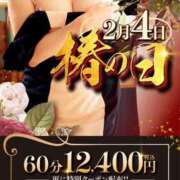 ヒメ日記 2026/02/04 11:05 投稿 あげは TSUBAKI（水戸）