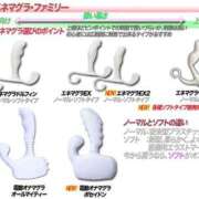 ヒメ日記 2026/02/12 08:37 投稿 あげは TSUBAKI（水戸）