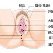 ヒメ日記 2026/03/30 07:19 投稿 あげは TSUBAKI（水戸）