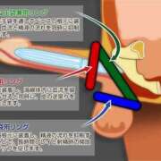 ヒメ日記 2026/04/14 16:12 投稿 あげは TSUBAKI（水戸）