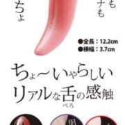ヒメ日記 2026/04/30 09:56 投稿 あげは TSUBAKI（水戸）