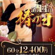 ヒメ日記 2026/05/14 16:31 投稿 あげは TSUBAKI（水戸）