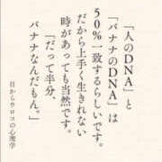 ヒメ日記 2026/09/12 12:36 投稿 あげは TSUBAKI（水戸）