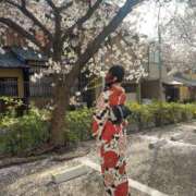 ヒメ日記 2025/04/15 20:31 投稿 初瀬　こころ YUDEN〜油殿〜谷九・日本橋店