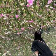 ヒメ日記 2025/07/28 14:48 投稿 初瀬　こころ YUDEN〜油殿〜谷九・日本橋店