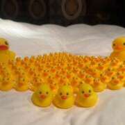 ヒメ日記 2025/07/22 10:07 投稿 りま 厚木人妻城