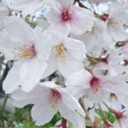 ヒメ日記 2026/04/04 21:45 投稿 りま 厚木人妻城